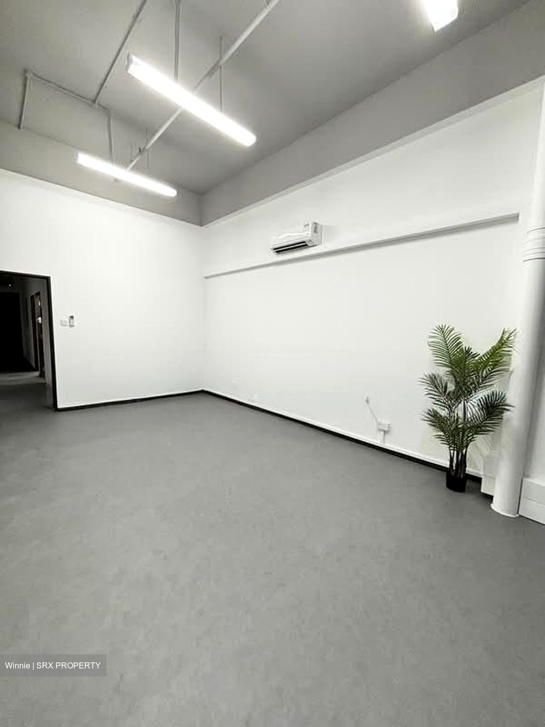 Primz Bizhub (D25), Factory #581729231